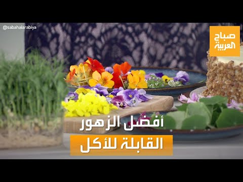 صباح العربية الزهور القابلة للأكل موجة وموضة تنتشر في العالم العربي