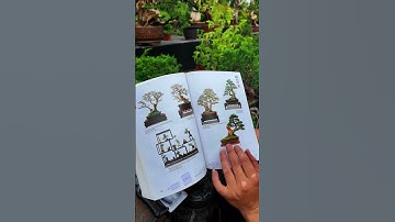 Sách 700 tác phẩm bonsai tham khảo (Gọi O98765837O) #bonsaishop