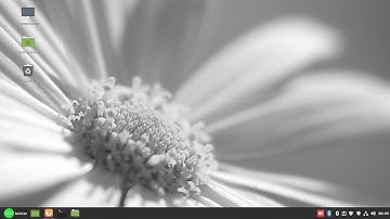 Remix do Linux Mint Gerado com o Penguin