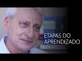 Etapas da Aprendizagem do Constelador Familiar | Instituto Koziner