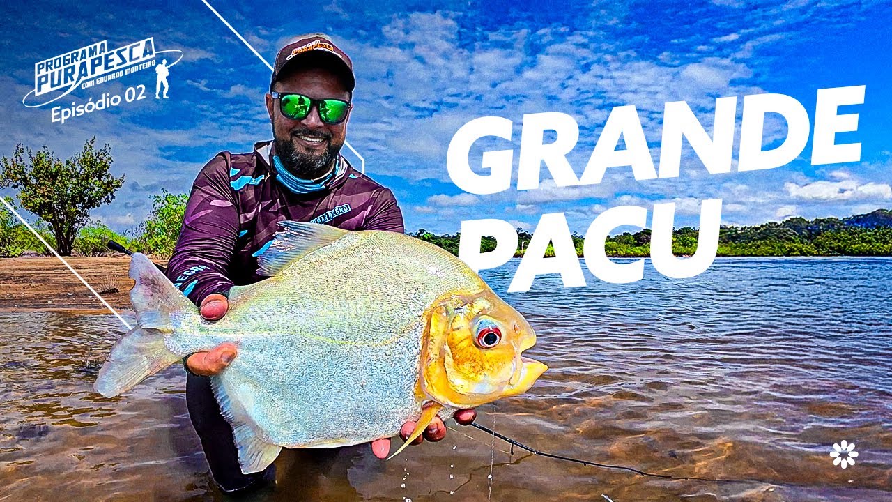 EMOÇÃO no Rio Xingu: Tucunaré-Amarelo Gigante e Pacu-Seringueiro na Linha | Pura Pesca