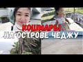 Ужастики с Чеджу l VLOG l 54 минут кайфа)