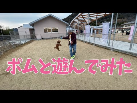 ポムと遊んでみたよ！