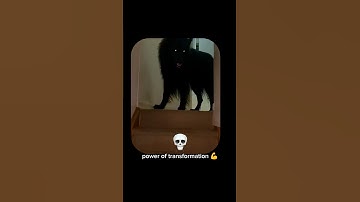 Power of transformation #capcut #edit #dogs  #transformation by @flyhighgaming69