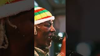 Sebe Allah – Alpha Blondy \u0026 The Solar System || lyrics#shorts