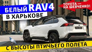 Белая Toyota 2019 | Rav4 покоряет улицы Харькова