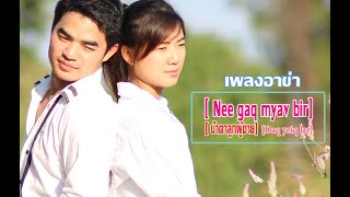 Video thumbnail of "เพลงอาข่า : Neegaq Myabir เพลงรักโดนใจ/// Daq yeiq lar"