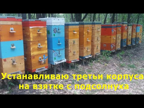 Устанавливаю третьи корпуса
