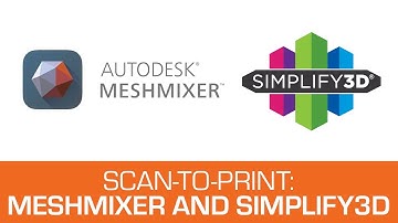 Scan-to-print using Meshmixer and Simplify3D - SOL and SOL PRO 3D scanners by Scan Dimension