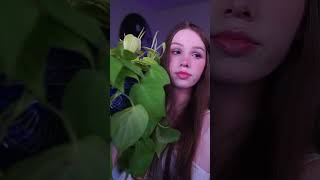 Plants Need Your Love