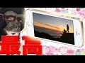 iPhoneSE 開封レビュー!コレ、iPhone史上最高なんじゃね!?【iPhoneSE 開封】