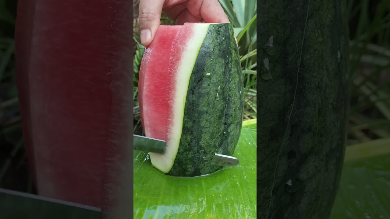 Watermelon Slice 🍉 | Oddly Satisfying Fruit ASMR 