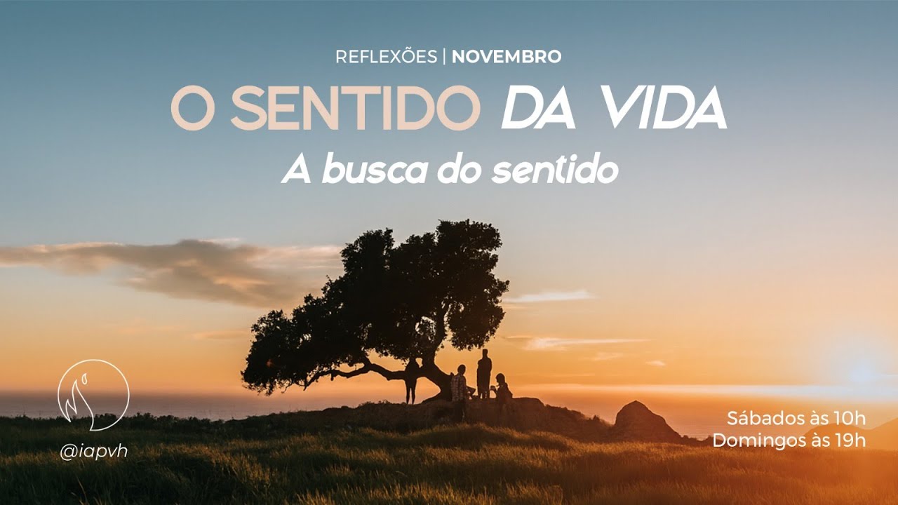 O SENTIDO DA VIDA - a busca do sentido - YouTube