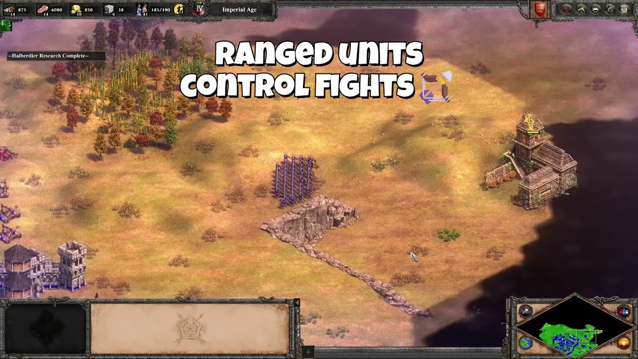 Ranged Units Control Fights🏹🎯 | AoE2 Gameplay