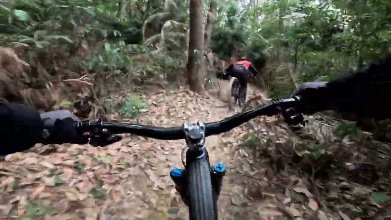 Тропа инков (простой маршрут в центральном Нью-Йорке)