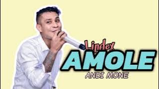 AMOLE || Lagu Dansa Kizomba|| COVER ANDI MONE🔥