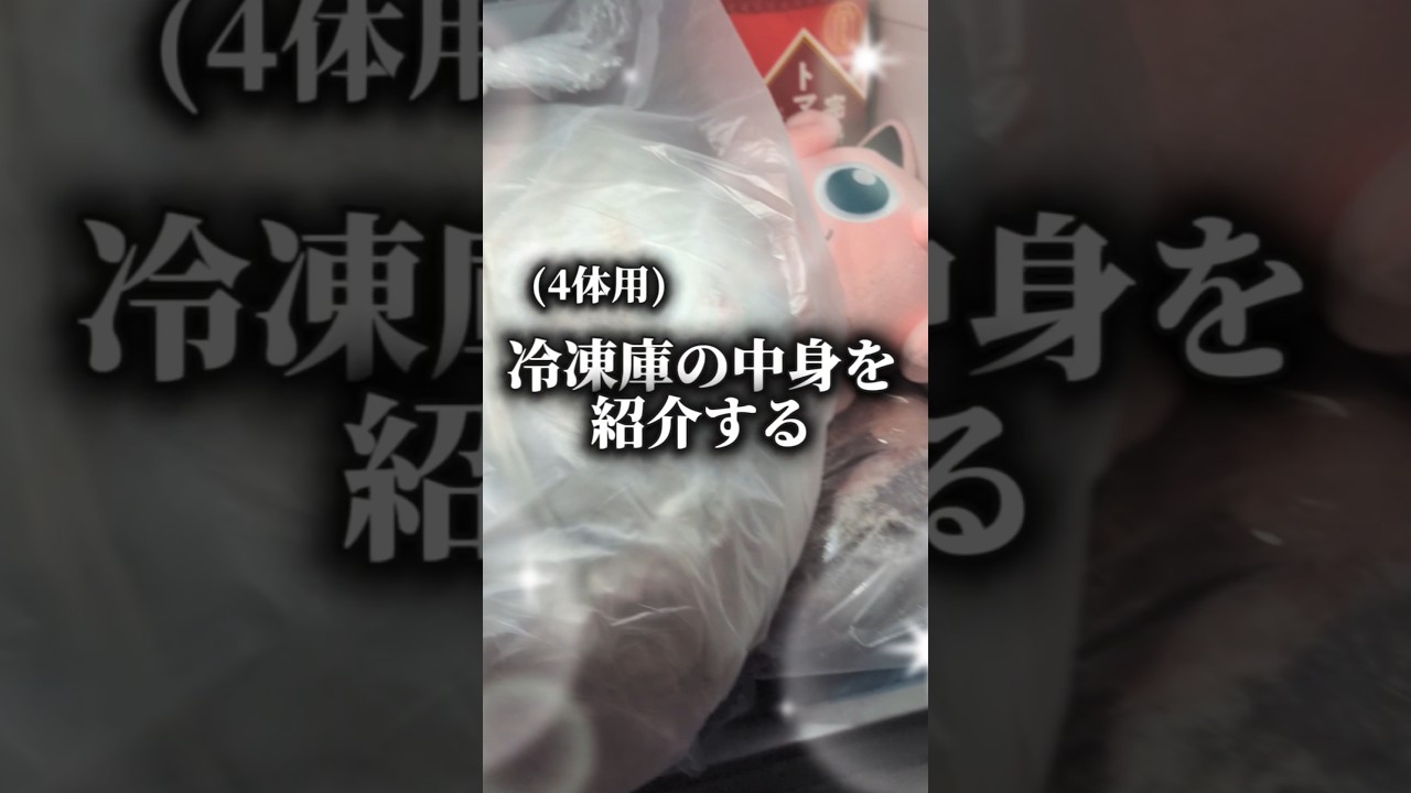 【怖い】骨格標本師の冷凍庫 #vtuber 詩花羽なぬの