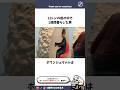 岩の中で1週間暮らす #雑学 #まとめる犬