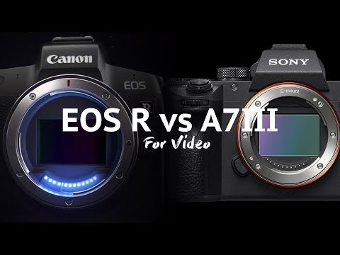 Canon EOS R vs Sony A7iii for Video