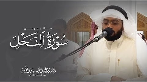 بترتيل الصبا الحزين تلاوة مؤثرة من سورة النحل | عشائيات المزيني