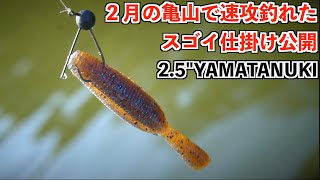 【バス釣り】ゲーリーヤマモト「ヤマタヌキ」小森嗣彦プロ２月の亀山湖攻略に抜群の仕掛けを考案!? #バス釣り #ヤマタヌキ