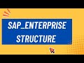 Session 7: Enterprise Structure_1| SAP Enterprise Structure Explained #sap #sapsftraining
