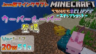 Java版マイクラ Ver1 17 かわいいモブ ウーパールーパー登場 今後のアップデート情報 w51a Minecraft Summary マイクラ動画 Java版マイクラ Ver1 17 かわいいモブ ウーパールーパー登場 今後のアップデート情報 w51a Minecraft Summary マイクラ動画