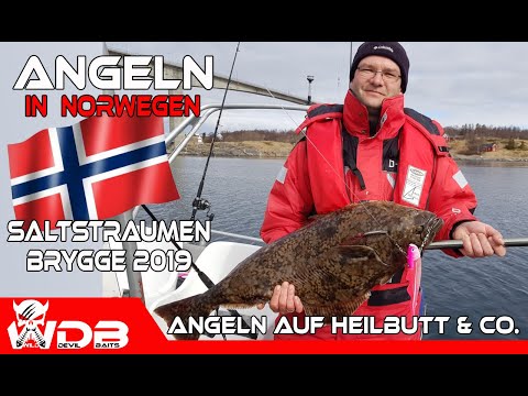 Angeln in Norwegen 2019 Saltstraumen Brygge Fishing Angel Berger Wild Devil Baits Tour