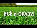 НАХИМИЧИЛИ: гербицид, инсектицид, карбамид,  фунгицид - все и сразу за 1 проход. Эконом вариант!