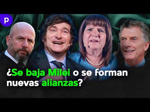 NUEVA ALIANZA: ¿Vuelven los "HALCONES"? ¿Qué pasará con el Radicalismo?
