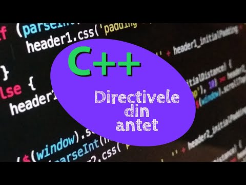 Video: Ce sunt directivele?