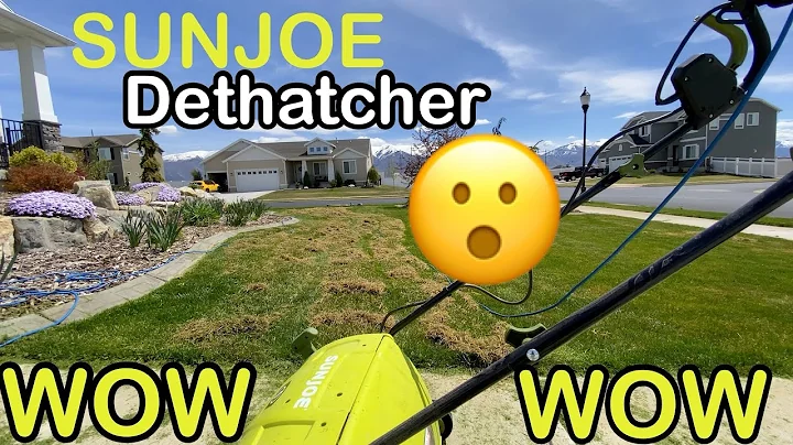 Review Sunjoe Dethatcher and Scarified | Do electric dethatchers really work?