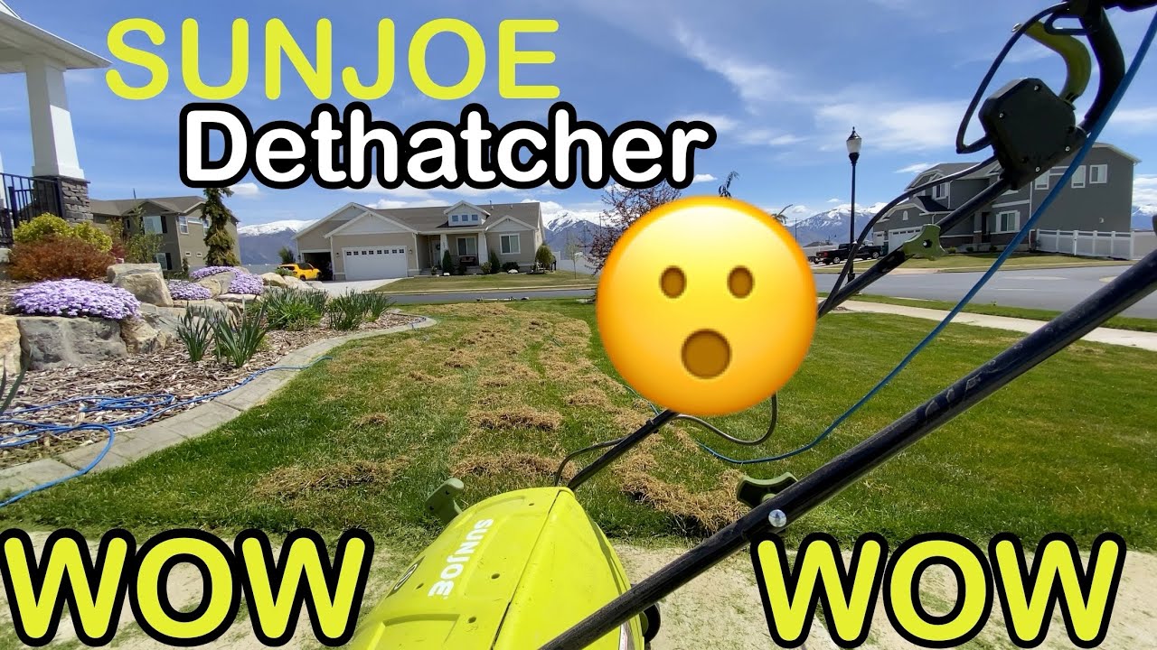 DIY Dethatching Overseed The Lawn Sun Joe Dethatcher Scarifier Spring ...