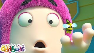 Oddbods Full Episode 24/7 🔴 LIVE NOW ⭐️ Love Friends ⭐️ Funny Cartoons for Kids thumbnail