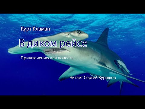В диком рейсе. Аудиокнига, приключения, мистика, морские приключения, морские рассказы