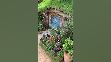 Hobbiton! So cute and charming! newzealand nz travel tiktoktravel seetheworld hobbits lordoftherings
