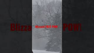 Blizzard 2022. POW! Whipping winds, piling snow, crazy weather. #shorts #snowstorm #blizzard #snow