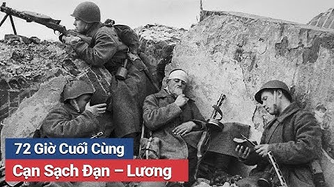 Khi Tập Đoàn Quân Đức Sụp Đổ: Sự Thật Lạnh Người Từ Trận Stalingrad!
