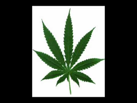 Smoke Weed Everyday - Snoop Dogg (Official Remix)