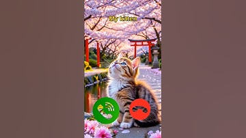 catcall #aicat #ringtone #ringtones #iphone #cat #shorts #catcalling #monkcall #monk #smartphone