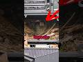 The Bird Who Lives In My PC Tricked Everyone The Bird Who Lives In My PC Tricked Everyone