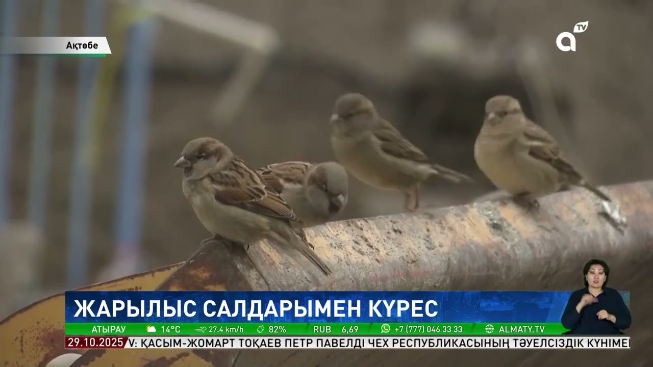 Ақша үшін орыс секс