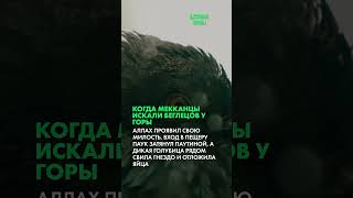 Пещера Савр - убежище Пророка (Часть 2)