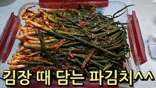 김장철에 담는 골파 김치