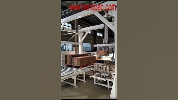 #palletizing #palletizer  #robot #palletwrapper  #casepacker #parallelmanipulat  #robot #automation