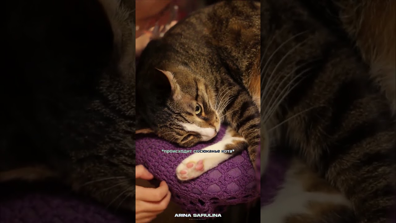 Кастомизируем образы и в гостях у Золотой Бусинки | Fashion Art