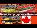 Цены на продукты в Канаде. Сколько стоят овощи, фрукты, сладости. Поход в Walmart.Канада иммиграция