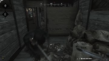 HUNT: SHOWDOWN how to use darksight offensively