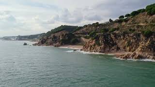 Seaside Oasis Wave Sounds