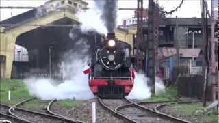 Viajando en el Tren de la Araucania.